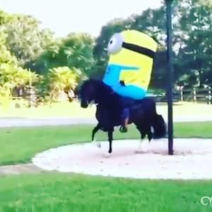 Meet your Posher, Tanner